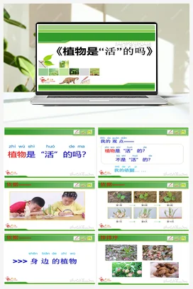 1.5植物是“活”的吗？ 课件+教案 小学科学教科版一年级上册