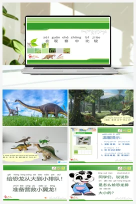 2.1在观察中比较 课件+教案 小学科学教科版一年级上册