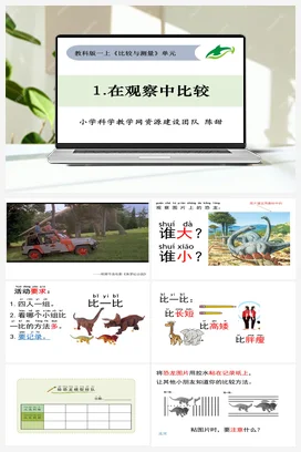 在比较中观察 课件+教学设计 小学科学教科版一年级上册