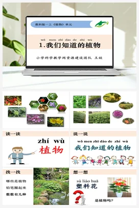 我们知道的植物 课件+教学设计 小学科学教科版一年级上册