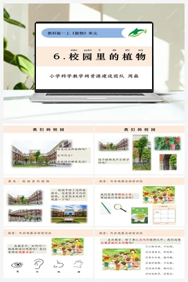 校园里的植物 课件+教学设计 小学科学教科版一年级上册
