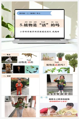 植物是活的吗 课件+教学设计 小学科学教科版一年级上册