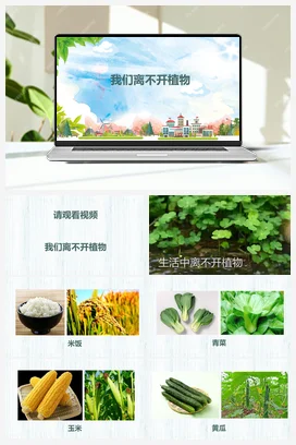 我们离不开的植物 课件 小学科学教科版一年级上册第1单元科学阅读