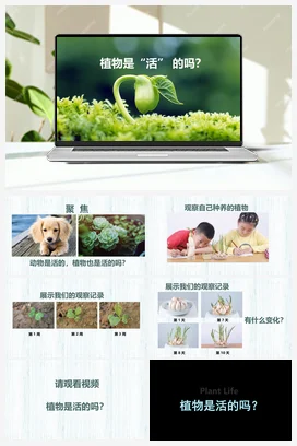 植物是活的吗 课件 小学科学教科版一年级上册第1单元第5课