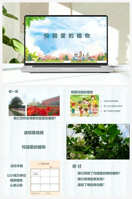 校园里的植物 课件 小学科学教科版一年级上册第1单元第6课