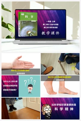 用手来测量 课件 小学科学教科版一年级上册第2单元第3课