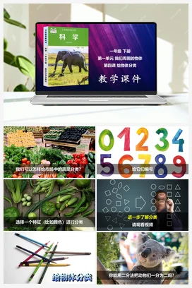 给物体分类 课件 教科版小学科学一年级下册 第1单元第4课