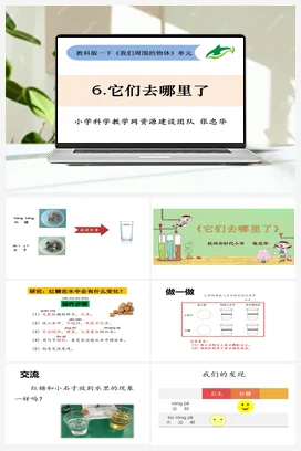 1.6它们去哪里了（张忠华） 课件+教案 教科版小学科学一年级下册