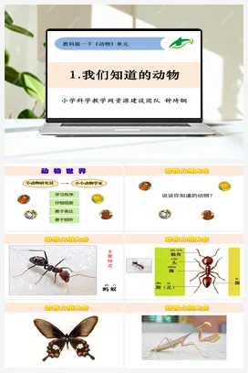 2.1《我们知道的动物》 课件+教案 教科版小学科学一年级下册