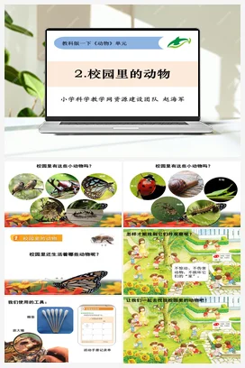 2.2《校园里的动物》 课件+教案 教科版小学科学一年级下册