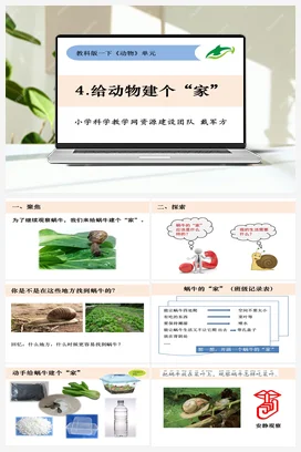 2.4《给动物建个“家”》 课件+教案 教科版小学科学一年级下册