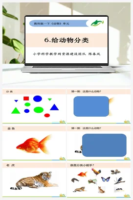 2.6《给动物分类》 课件+教案 教科版小学科学一年级下册