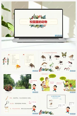 《校园里的动物》教学课件 教科版小学科学一年级下册