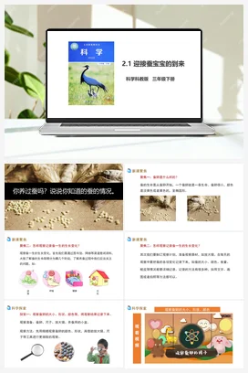 2.1 迎接蚕宝宝的到来（课件+教案+习题） 教科版小学科学三年级下册