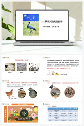 2.2 认识其他动物的卵（课件+教案+习题） 教科版小学科学三年级下册