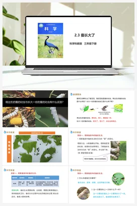 2.3 蚕长大了（课件+教案+习题） 教科版小学科学三年级下册