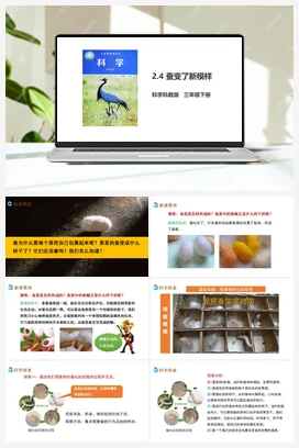 2.4 蚕变了新模样（课件+教案+习题） 教科版小学科学三年级下册