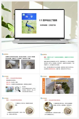2.5 茧中钻出了蚕蛾（课件+教案+习题） 教科版小学科学三年级下册