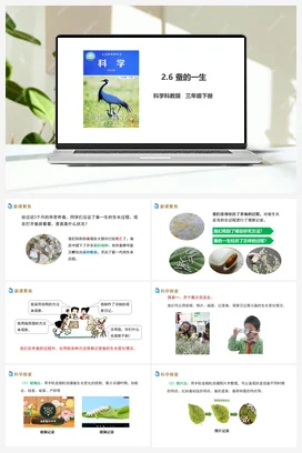 2.6 蚕的一生（课件+教案+习题+素材） 教科版小学科学三年级下册