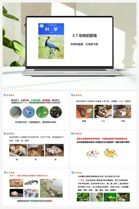 2.7 动物的繁殖（课件+教案+习题+素材） 教科版小学科学三年级下册