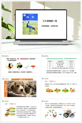 2.8 动物的一生（课件+教案+习题+素材） 教科版小学科学三年级下册