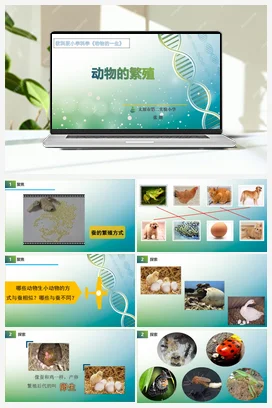 《动物的一生》课件+教学设计 教科版小学科学三年级下册