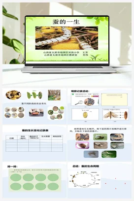 《蚕的一生》课件+教学设计 教科版小学科学三年级下册