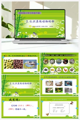 《认识其他动物的卵》课件+教学设计 教科版小学科学三年级下册