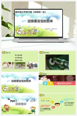 《迎接蚕宝宝的到来》课件+教学设计 教科版小学科学三年级下册