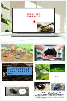 教科版小学科学二年级上册 2、土壤-动植物的乐园（课件）