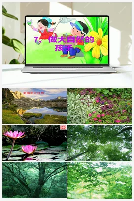 教科版小学科学二年级上册 7、做大自然的孩子 课件