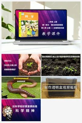 教科版小学科学二年级上册第1单元第2课-土壤——动植物的乐园