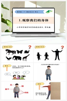 2.1观察我们的身体 教科版小学科学二年级下册