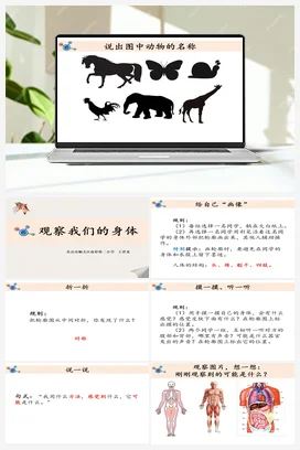 2.1.观察我们的身体.教学课件 教科版小学科学二年级下册