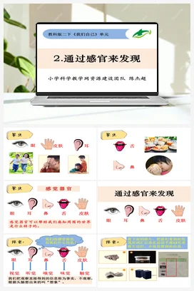 2.2通过感官来发现 教科版小学科学二年级下册