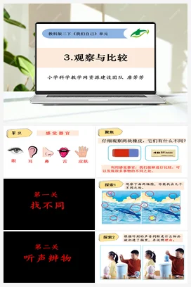2.3观察与比较 教科版小学科学二年级下册