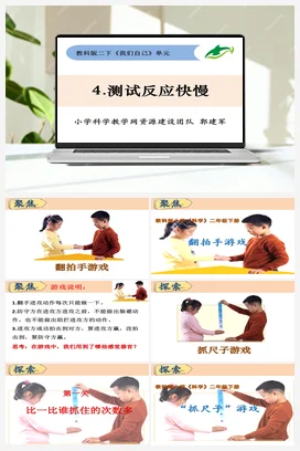 2.4测试反应速度 教科版小学科学二年级下册