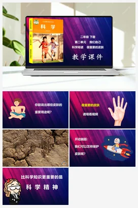很重要的皮肤 课件 教科版小学科学二年级下册第2单元科学阅读