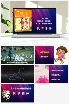 通过感官来发现 课件 教科版小学科学二年级下册第2单元第2课