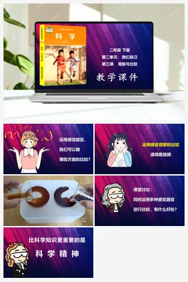 观察与比较 课件 教科版小学科学二年级下册第2单元第3课