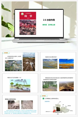 2.6 水的作用 课件+教案 教科版小学科学五年级上册