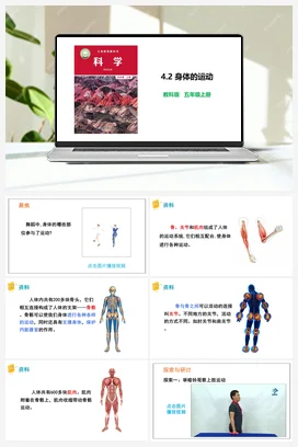 4.2 身体的运动 教科版 教科版小学科学五年级上册