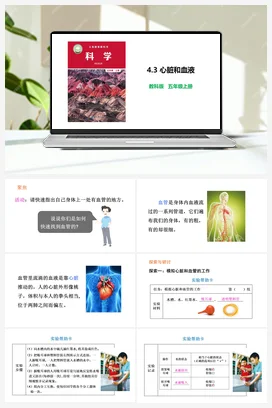 4.3 心脏和血液 教科版 教科版小学科学五年级上册