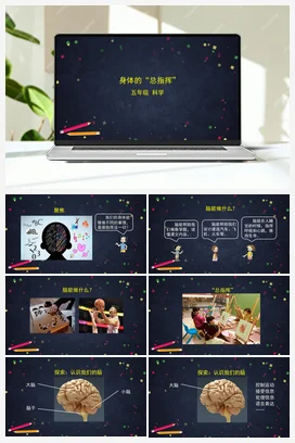 4.4 身体的“总指挥”课件(18张ppt)+教案+任务单+练习 教科版小学科学五年级上册