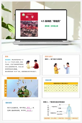4.5 身体的“联络员” 教科版 教科版小学科学五年级上册