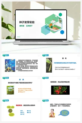 1.1《种子发芽实验》课件+教案 教科版小学科学五年级下册