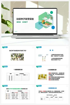 1.2《比较种子发芽实验》课件+教案 教科版小学科学五年级下册