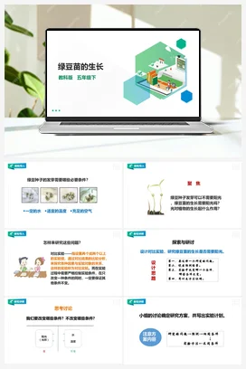 1.3《绿豆苗的生长》课件+教案 教科版小学科学五年级下册