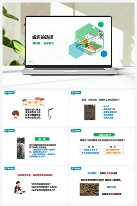1.4《蚯蚓的选择》课件+教案 教科版小学科学五年级下册