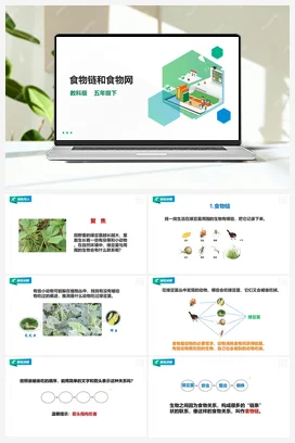 1.6《食物链和食物网》课件+教案 教科版小学科学五年级下册